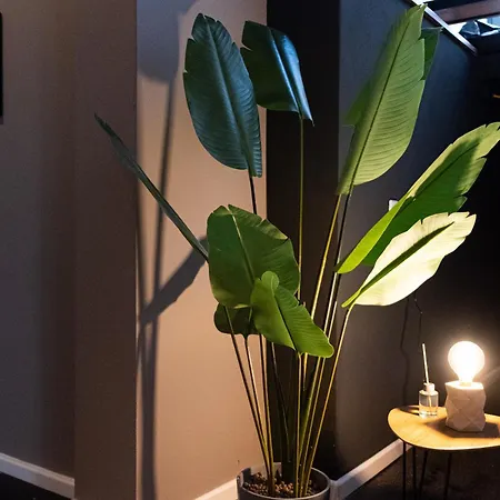 Schoenhaus Prenzlauer Berg - Grosszuegiges Design-apartment *