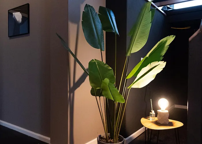 Schönhaus Prenzlauer Berg - Großzügiges Design-apartment *